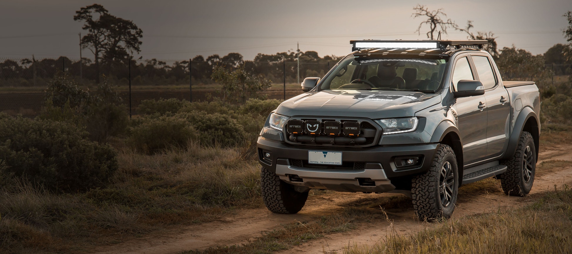 STEDI ST-X 50